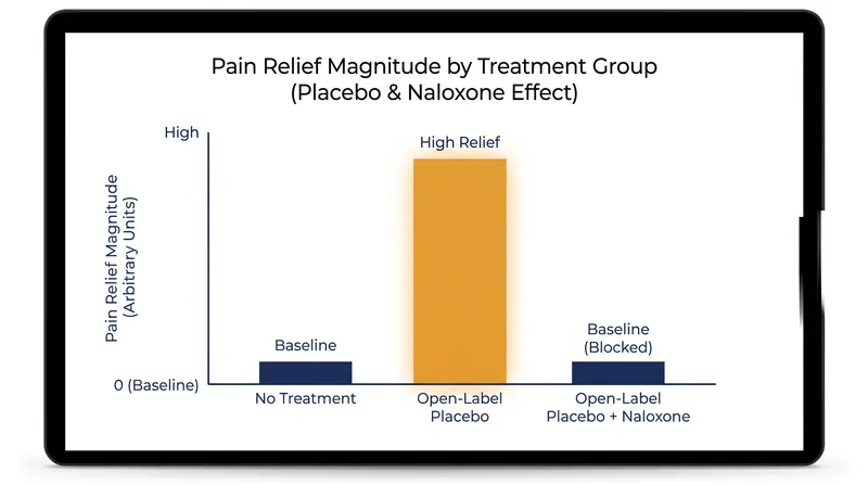 Even when patients know they are taking a placebo, naloxone successfully blocks the resulting pain relief.