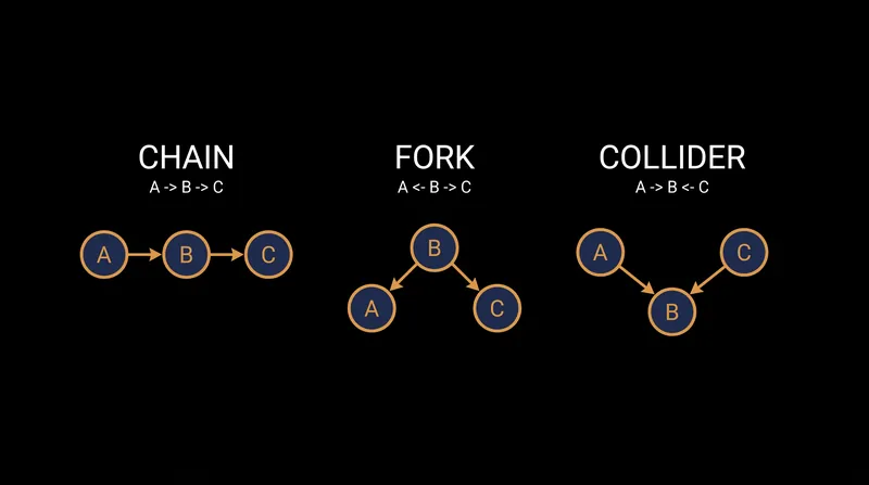 Every complex causal network can be decomposed into three fundamental structural motifs.