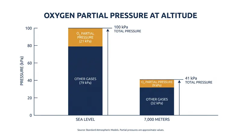 While the percentage of oxygen remains 20.9% at all altitudes, the driving pressure required to push it into the bloodstream drops by nearly 60% at 7,000 meters.