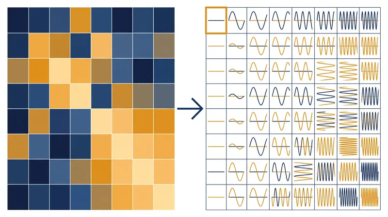 The DCT translates spatial pixel data into 64 distinct frequency waveforms.