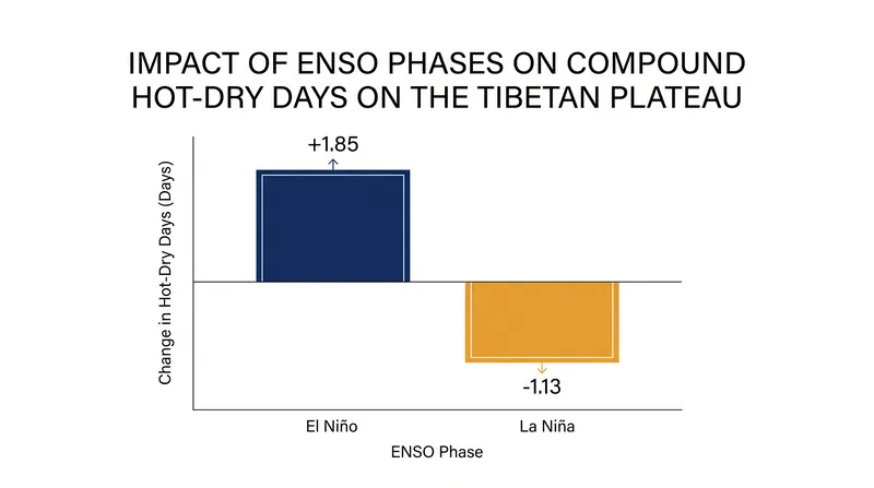El Niño extends the duration of compound hot-dry events, while La Niña suppresses them.