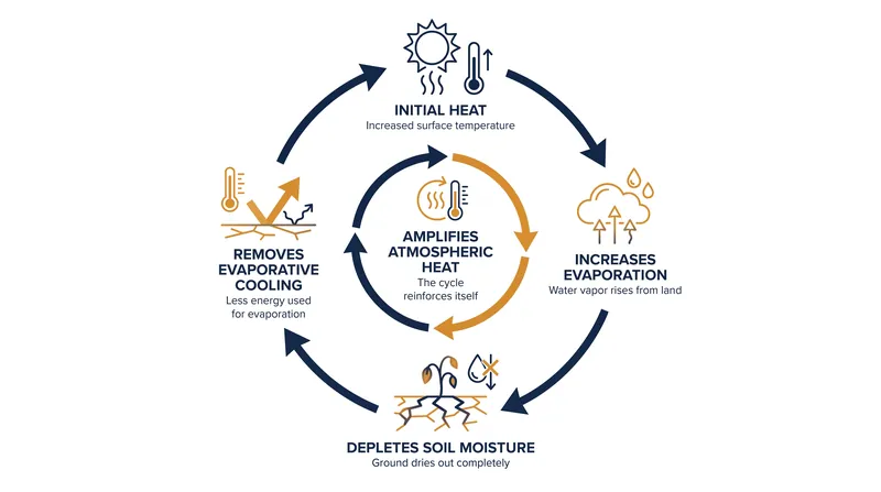 The land-atmosphere feedback loop that drives compound hot-dry extremes.