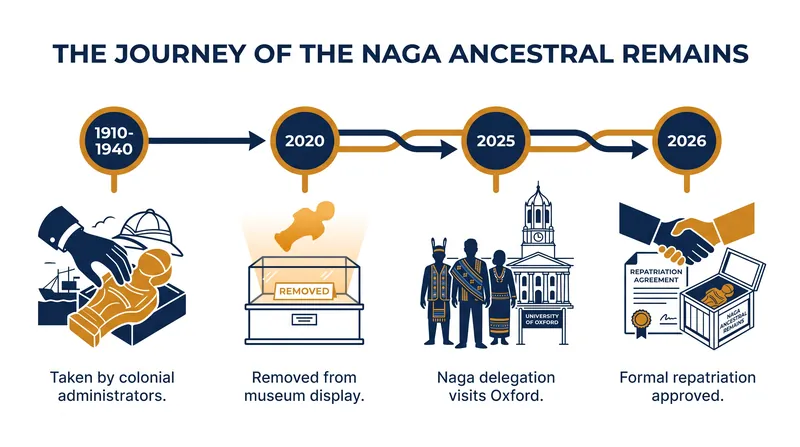 The timeline of the Naga ancestral remains, from their removal in the early 20th century to their scheduled return.