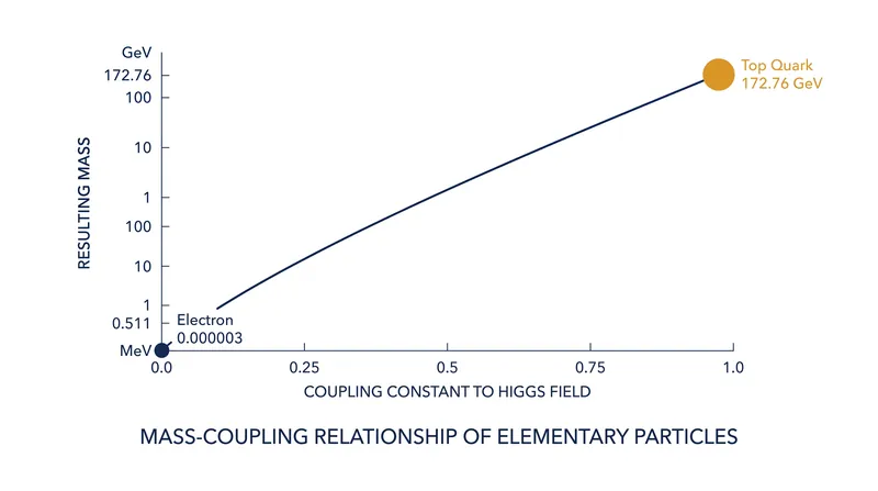 A particle's mass is strictly determined by its coupling strength to the 246 GeV Higgs background field.