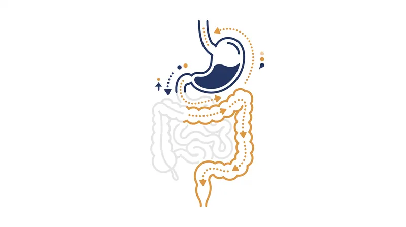 The proposed mechanism relies on systemic inflammation traveling from the stomach to the intestinal mucosa.