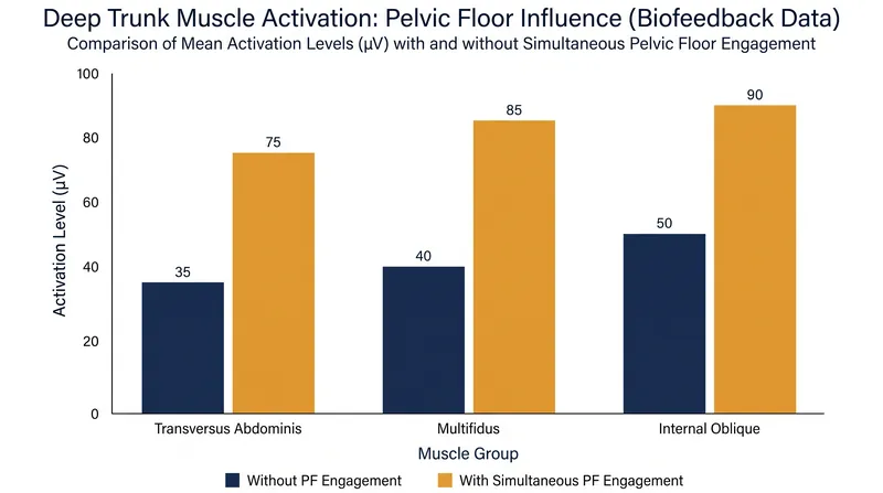 Simultaneous pelvic floor engagement significantly increases the activation of deep trunk muscles.