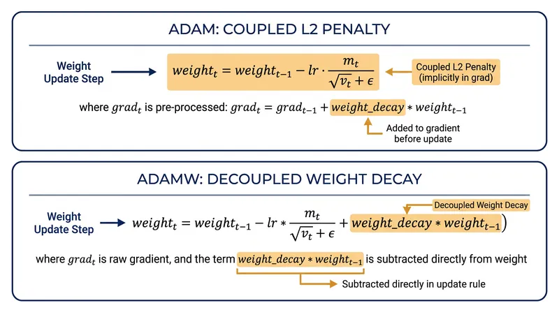 AdamW bypasses gradient scaling to apply the weight decay penalty directly.