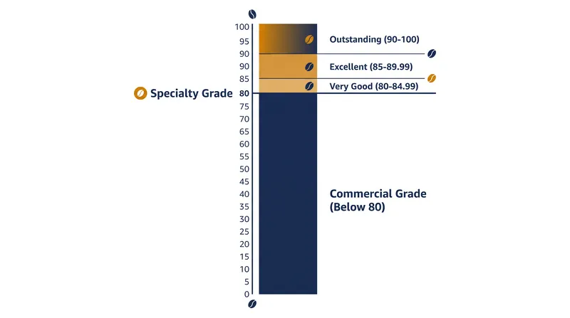The SCA 100-point scale separates specialty coffee from commercial-grade beans at the 80-point threshold.