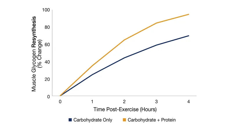 Coingesting protein with carbohydrates accelerates the rate of glycogen storage during the critical hours immediately following exercise.
