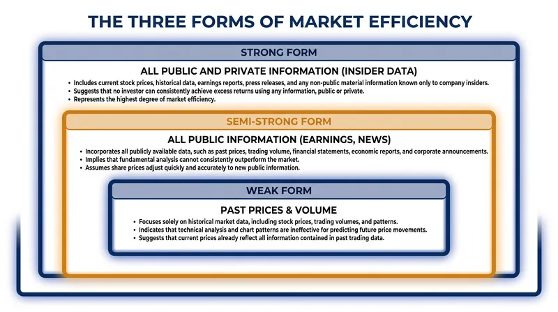Each form of the Efficient Market Hypothesis defines a different threshold for what information is already priced into an asset.