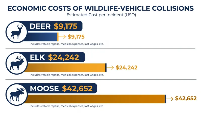 The economic toll of wildlife collisions scales dramatically with the size of the animal.