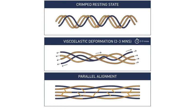 How sustained load physically alters the resting architecture of connective tissue.