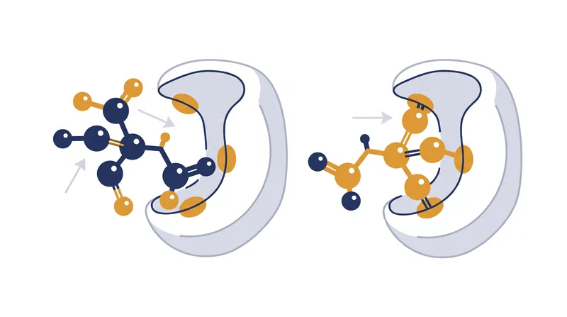 Enantiomers contain the exact same atoms, but their mirrored spatial arrangement dictates whether they can bind to a specific cellular receptor.
