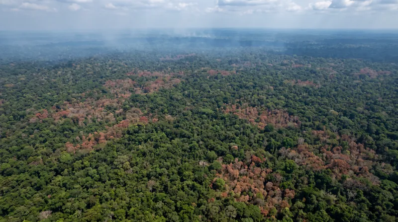 Even highly intact regions of the Amazon with extensive forest cover are experiencing unprecedented thermal stress.