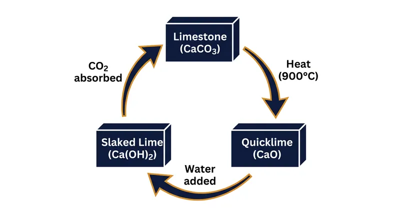 The lime cycle: heating limestone drives off carbon dioxide, which the plaster reabsorbs from the air as it cures on the wall.