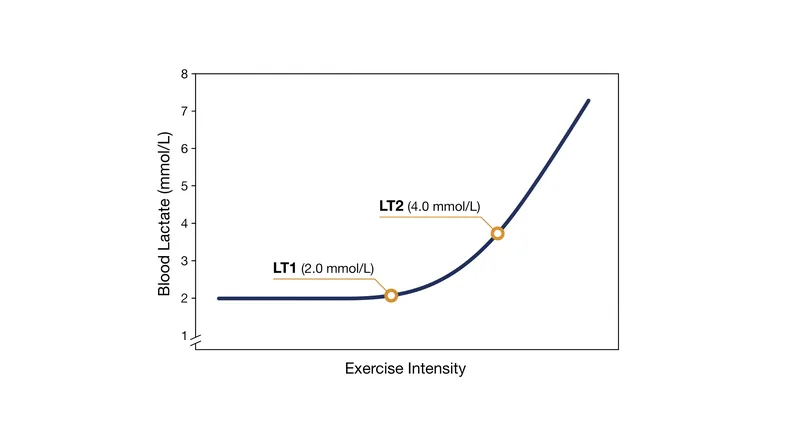 The two-threshold model separates exercise into three distinct physiological zones based on lactate accumulation.