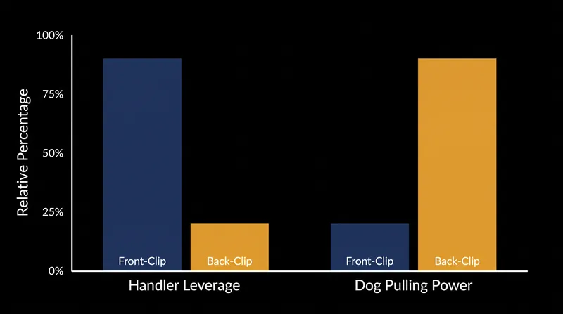 The mechanical trade-off between handler control and canine pulling power.