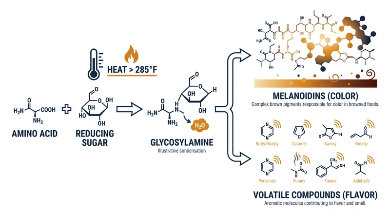 The three stages of the Maillard reaction transform simple amino acids and sugars into hundreds of distinct flavor molecules.