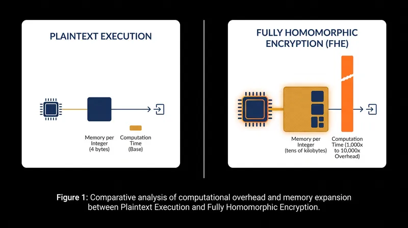 The structural performance penalty of computing on encrypted data.