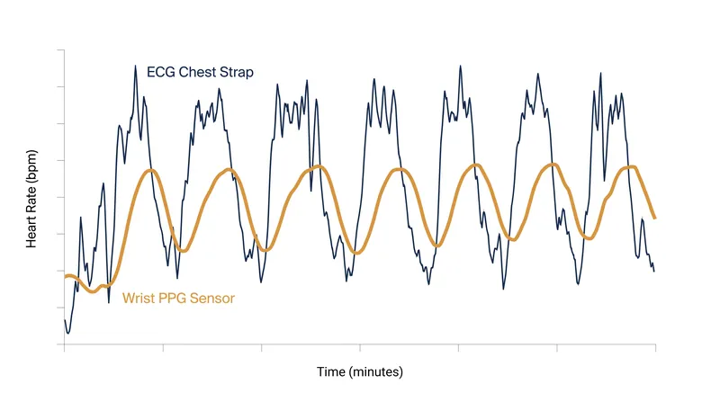 During high-intensity intervals, optical sensors often lag behind chest straps by 10 to 15 seconds.