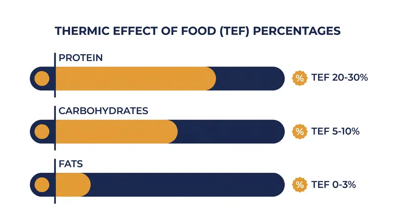 Protein requires significantly more energy to digest than carbohydrates or fats.