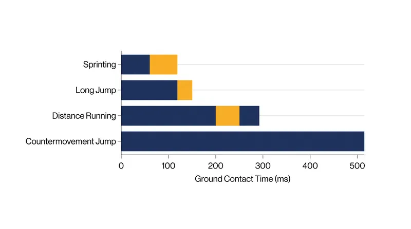 Different athletic movements demand vastly different ground contact times, shifting the burden between tendons and muscles.