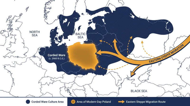 The Corded Ware culture spanned from the Rhine to the Volga, fundamentally altering Europe's demographic landscape.