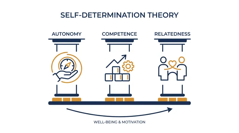 The three basic psychological needs that form the foundation of intrinsic motivation.