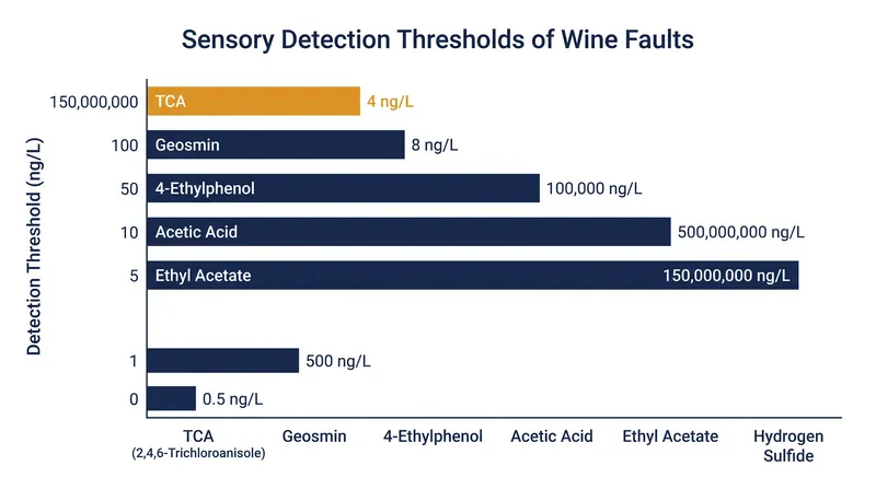 TCA possesses one of the lowest sensory detection thresholds of any known wine fault.