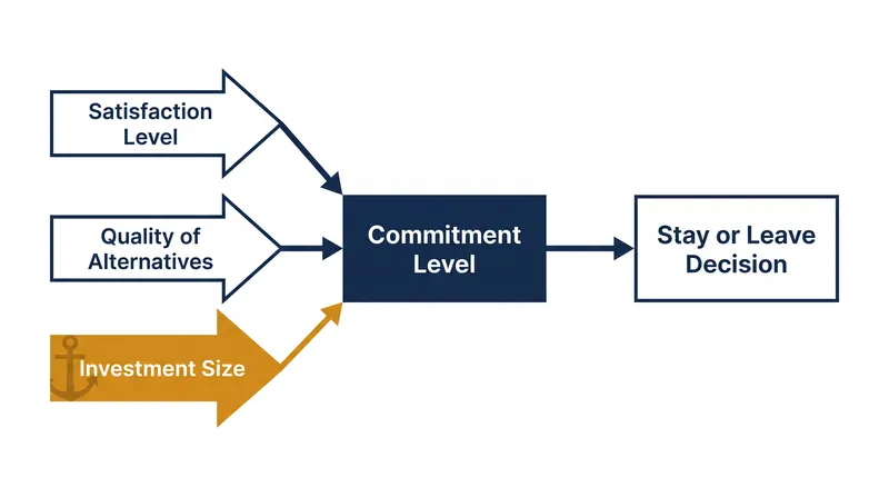 Rusbult's model demonstrates how satisfaction, alternatives, and investments interact to determine relationship commitment.