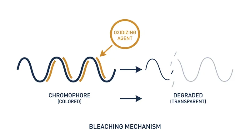Bleaching agents work by breaking the double bonds in chromophores, rendering the stain invisible to the human eye.
