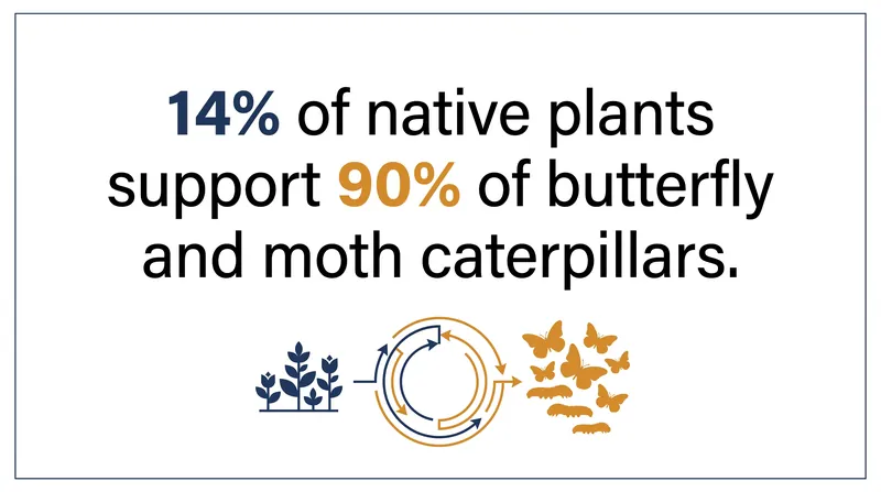 A small fraction of native plant species supports the vast majority of local insect life.