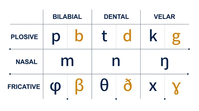 Consonants are mapped on a strict anatomical grid based on where and how airflow is obstructed in the mouth.
