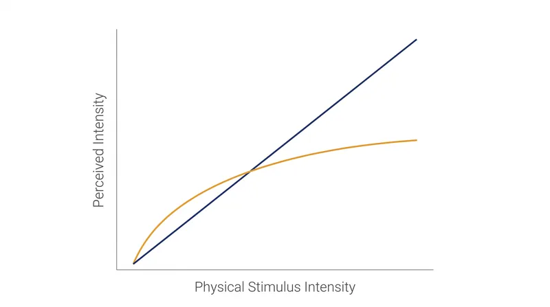 A logarithmic response curve allows the brain to process a massive range of physical intensities without overloading neural capacity.