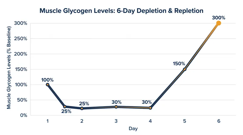 The classic depletion-repletion cycle forces glycogen levels far above their normal baseline.