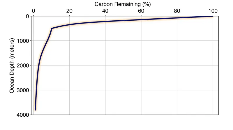 Only roughly 1 percent of the carbon fixed at the surface survives bacterial consumption to reach the deep seafloor.