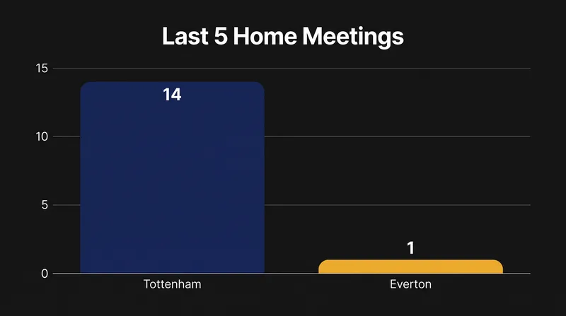 Tottenham's dominant home record against Everton in recent meetings.