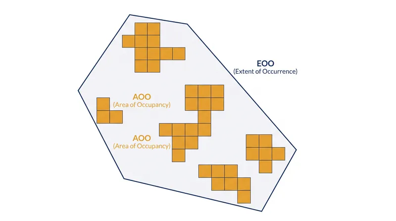 Extent of Occurrence measures the outer boundary of known sites, while Area of Occupancy measures only the specific habitat actually inhabited.