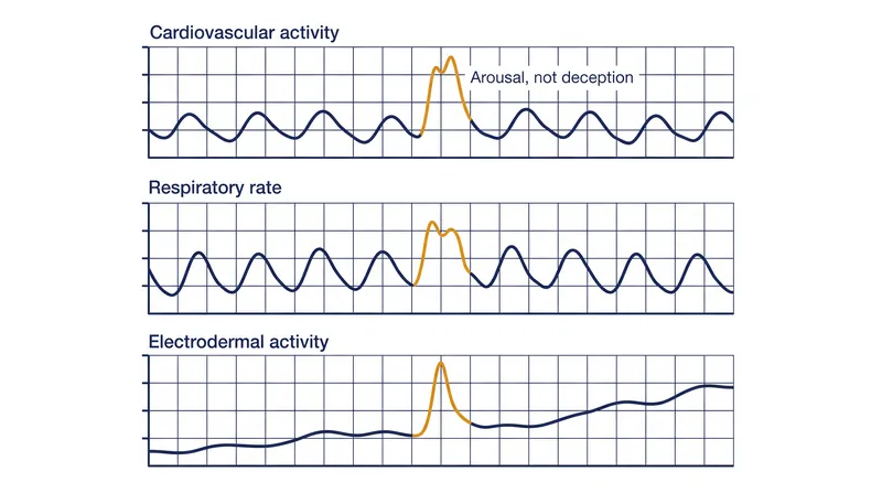 The three biological metrics tracked during a polygraph examination.