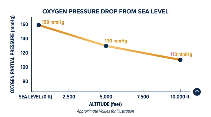 At 10,000 feet, each breath contains roughly 30 percent fewer oxygen molecules than at sea level.