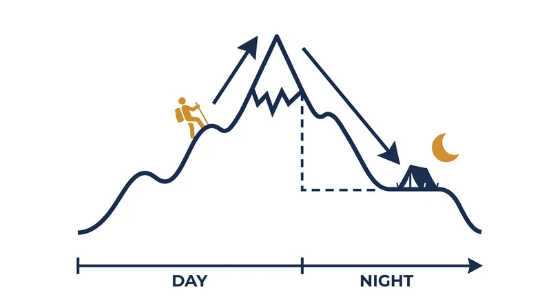 The 'climb high, sleep low' strategy allows hikers to trigger acclimatization during the day while resting safely at a lower elevation.