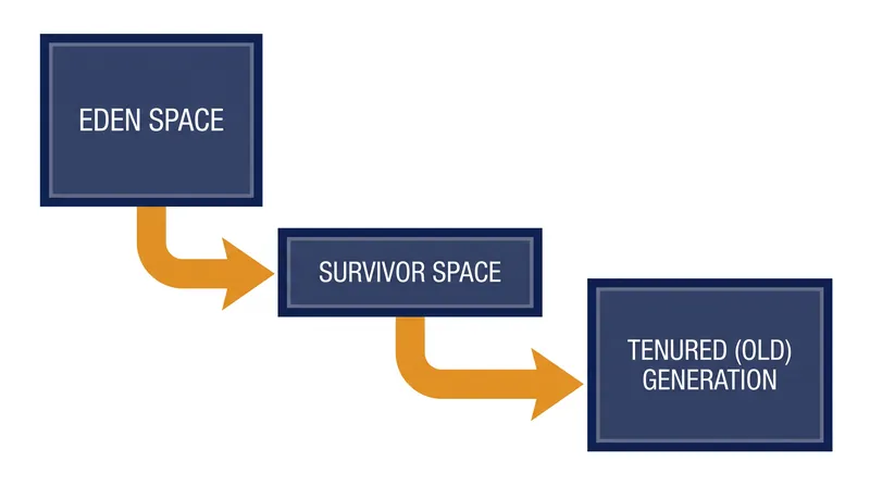 The generational heap divides memory into distinct zones based on the age of the data objects.