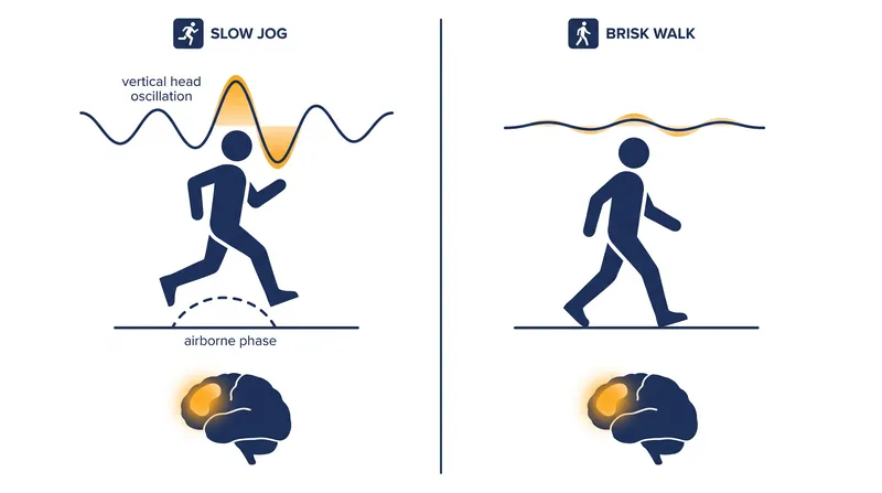 Vertical head acceleration during a jog correlates directly with improvements in mood.