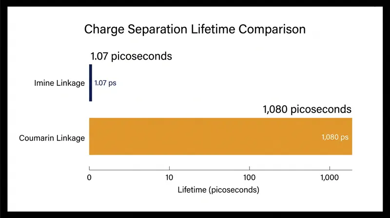 The coumarin linkage extends the lifetime of the charge-separated state by roughly 1,000 times compared to conventional imine bonds.