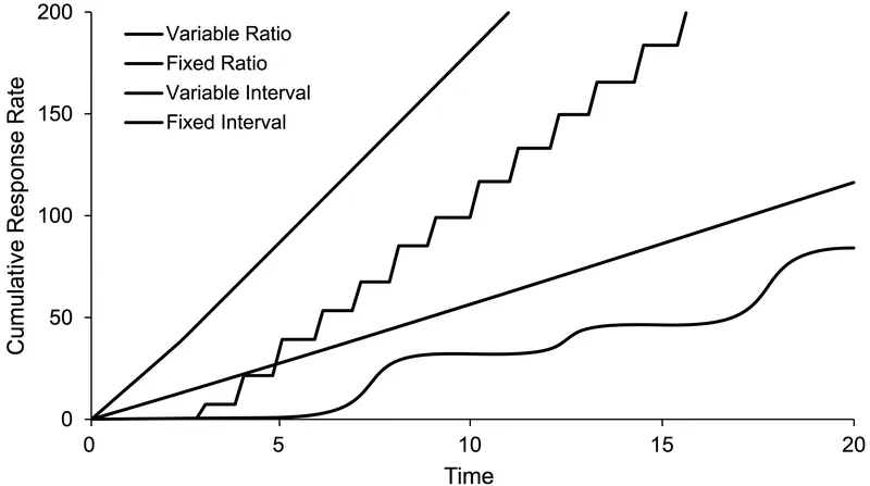 Each schedule produces a distinct mathematical signature in behavioral output, with variable ratio generating the steepest response curve.