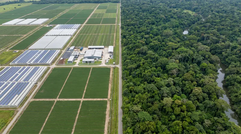 Land-system change, driven heavily by agricultural expansion, is one of the core boundaries currently exceeding safe limits.