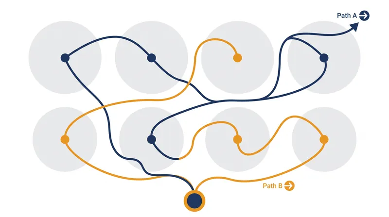 Across all possible problem configurations, the computational cost of any two search algorithms averages out to be identical.