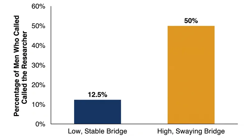 Men who crossed a high-anxiety suspension bridge were four times more likely to call an attractive researcher than those on a stable bridge.