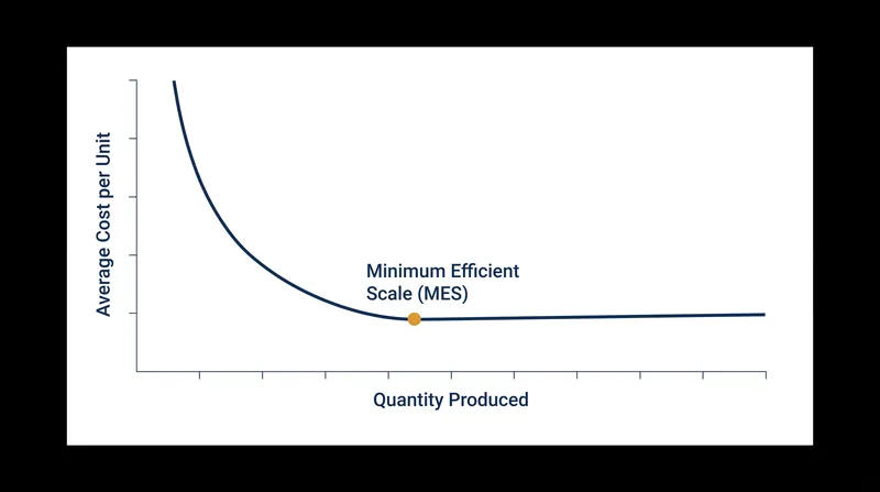 The Minimum Efficient Scale is the exact point where a firm stops seeing massive cost reductions from producing more units.
