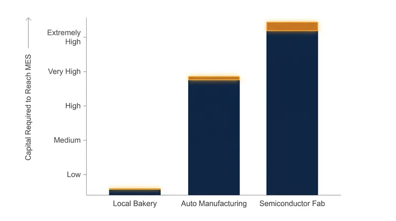 Different industries face vastly different MES thresholds, explaining why bakeries are plentiful but chip manufacturers are rare.